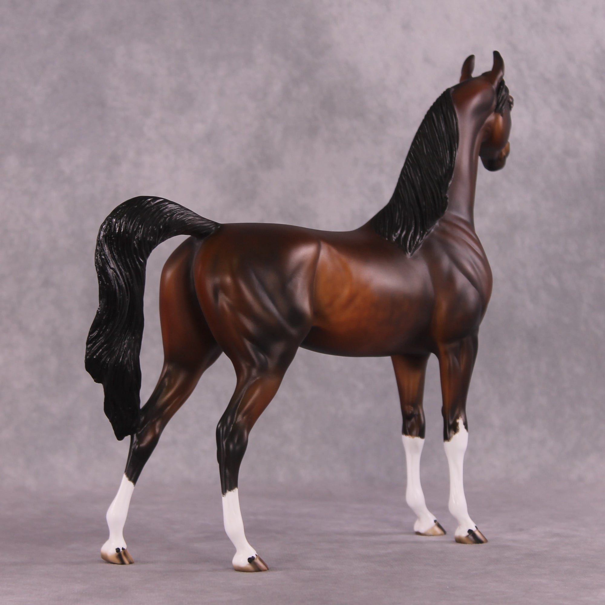 "Verisimiltude" OOAK Arabian by Julie Keim SHCF25