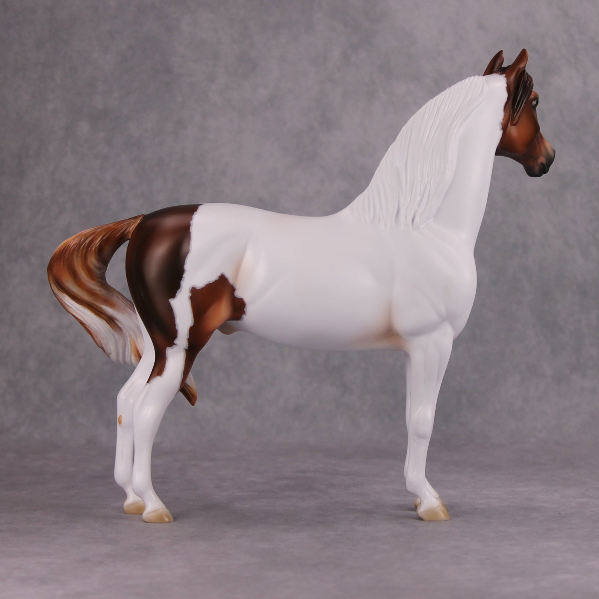 Pumpkin Patch OOAK Chestnut Tobiano Custom Morgan By Ashley Palmer MM24 Online Drawing