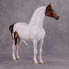 PREVIEW LISTING ONLY Pumpkin Patch OOAK Chestnut Tobiano Custom Morgan By Ashley Palmer MM24 Online Drawing