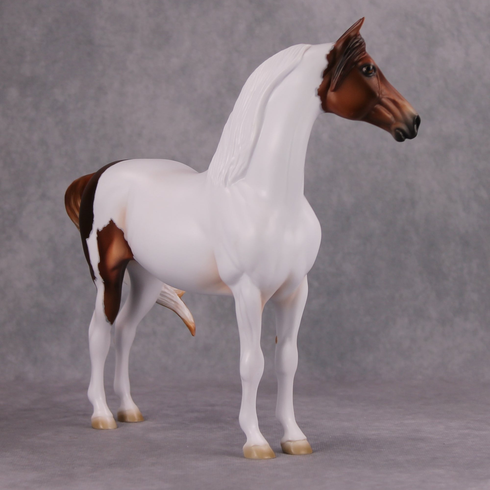 Pumpkin Patch OOAK Chestnut Tobiano Custom Morgan By Ashley Palmer MM24 Online Drawing