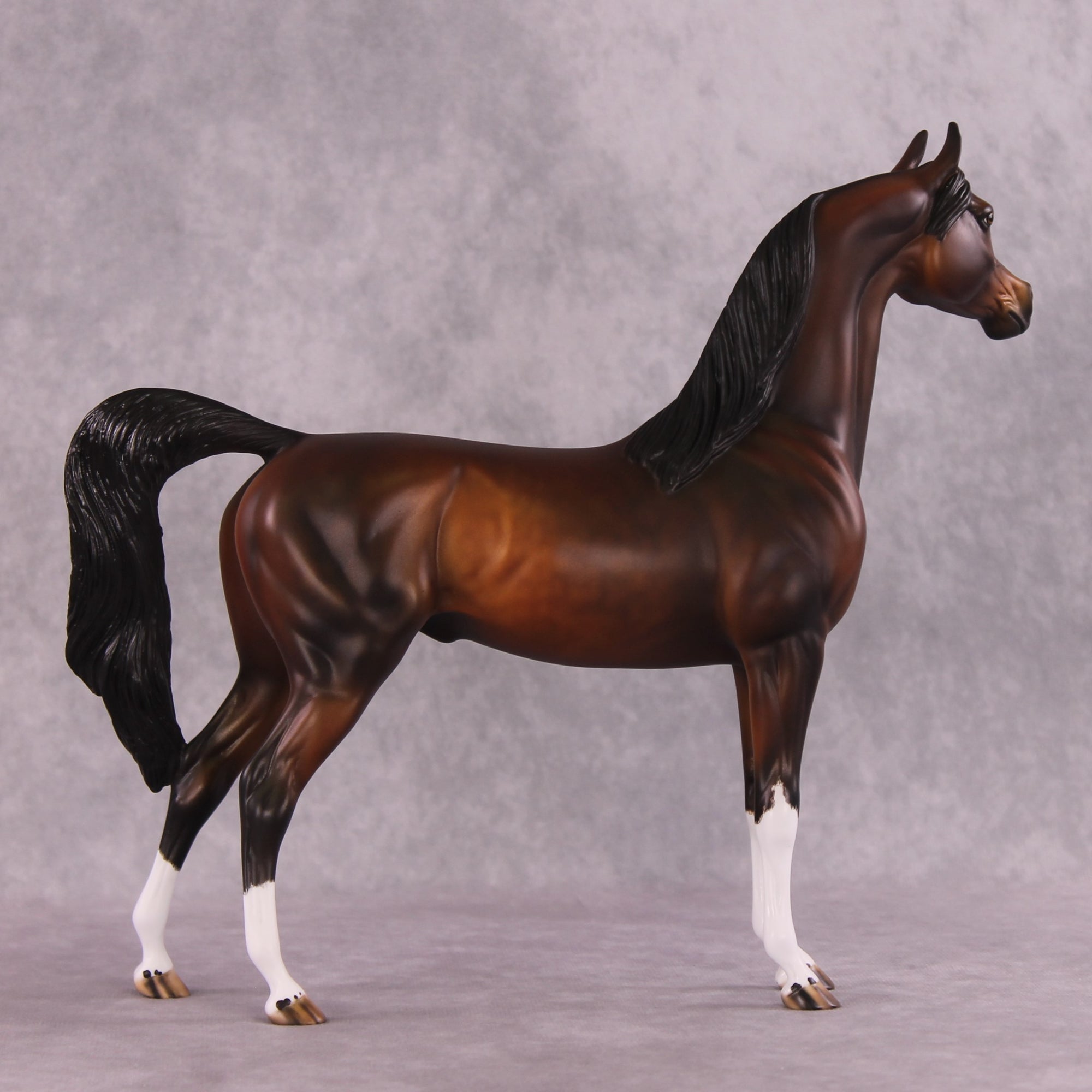 "Verisimiltude" OOAK Arabian by Julie Keim SHCF25