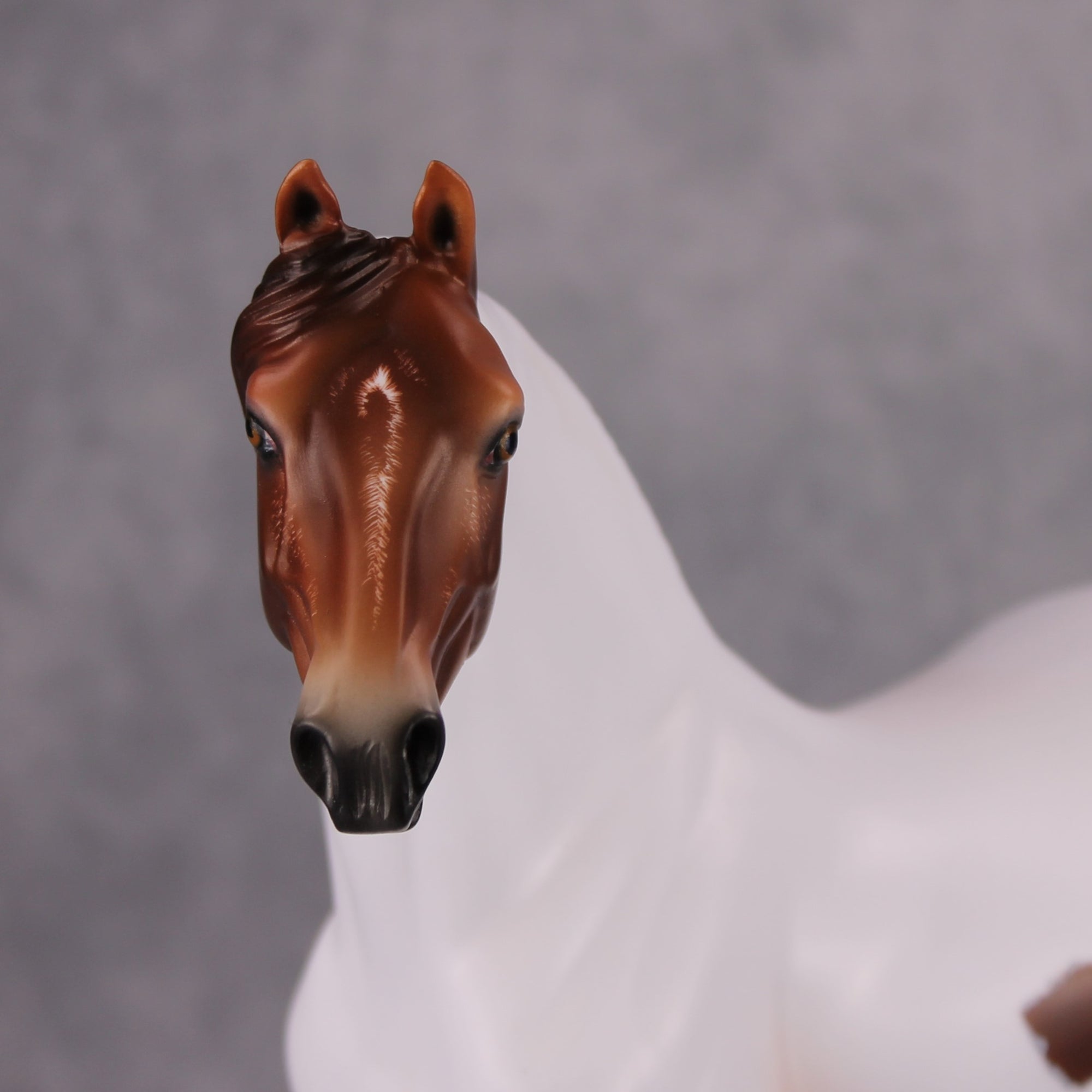 Pumpkin Patch OOAK Chestnut Tobiano Custom Morgan By Ashley Palmer MM24 Online Drawing