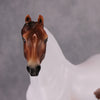 PREVIEW LISTING ONLY Pumpkin Patch OOAK Chestnut Tobiano Custom Morgan By Ashley Palmer MM24 Online Drawing