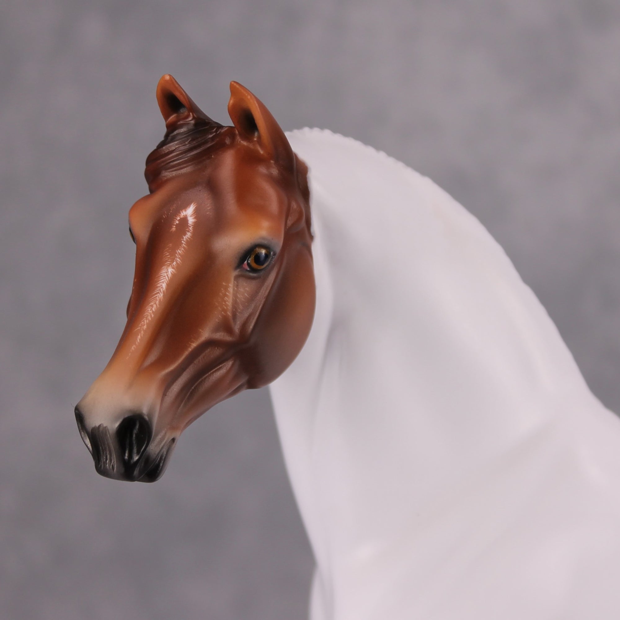 Pumpkin Patch OOAK Chestnut Tobiano Custom Morgan By Ashley Palmer MM24 Online Drawing