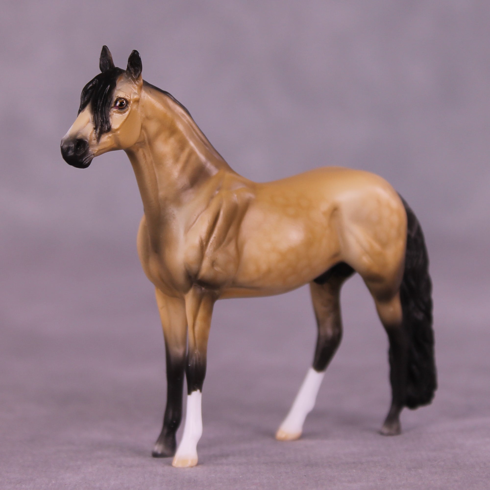 Plinko OOAK Andalusian Chip by Dawn Quick LHS25