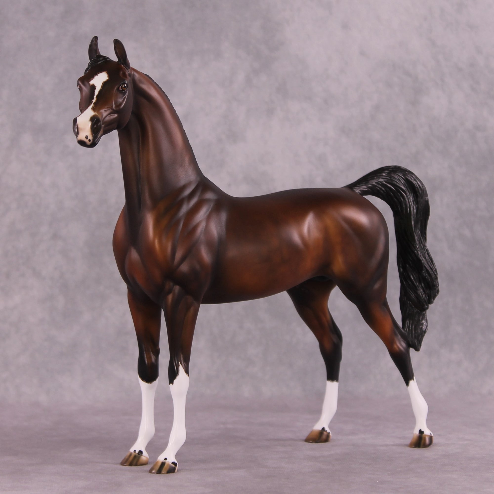 "Verisimiltude" OOAK Arabian by Julie Keim SHCF25