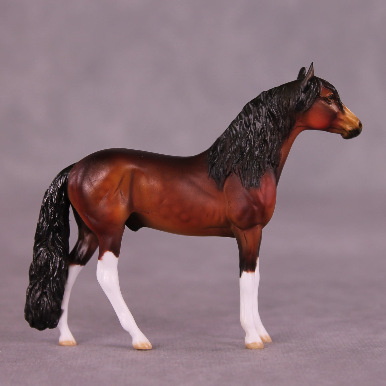 Gable OOAK Andalusian Chip by Dawn Quick LHS25