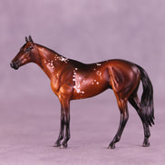 52 Free Thoroughbreds Blind Bag 10 OOAK Chip Thoroughbreds by Melanie Miller TO26