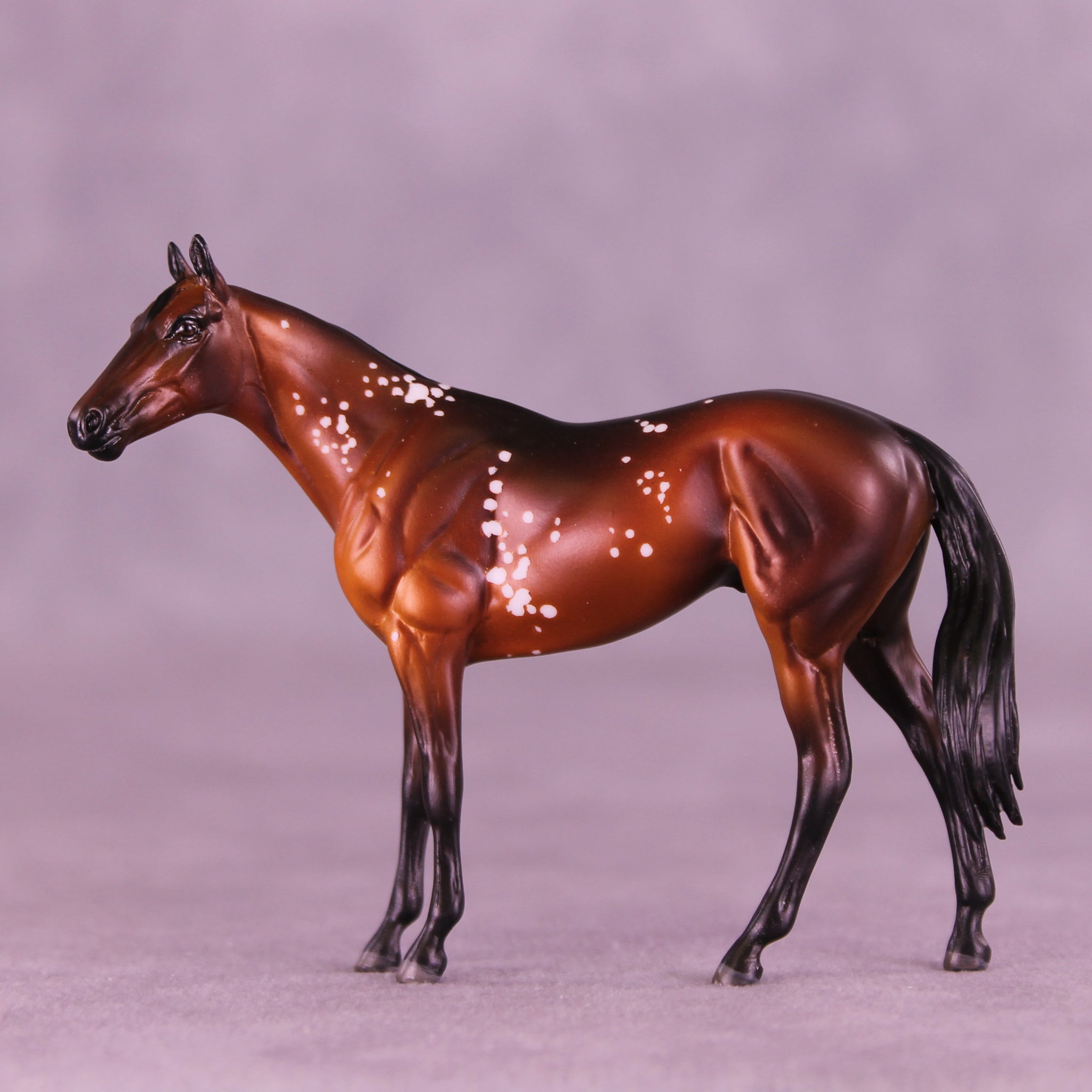52 Free Thoroughbreds Blind Bag 10 OOAK Chip Thoroughbreds by Melanie Miller TO26