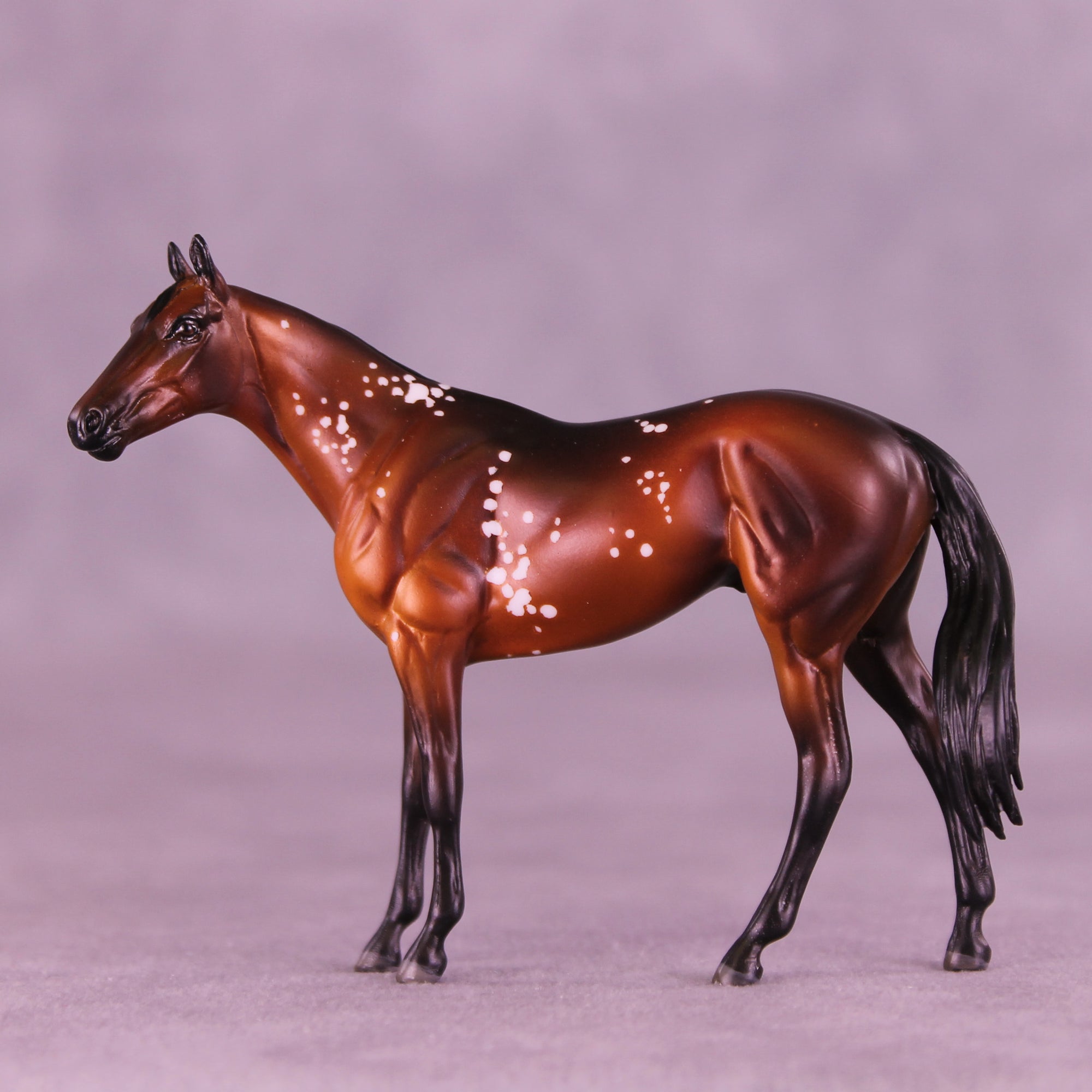 52 Free Thoroughbreds Blind Bag 10 OOAK Chip Thoroughbreds by Melanie Miller TO26