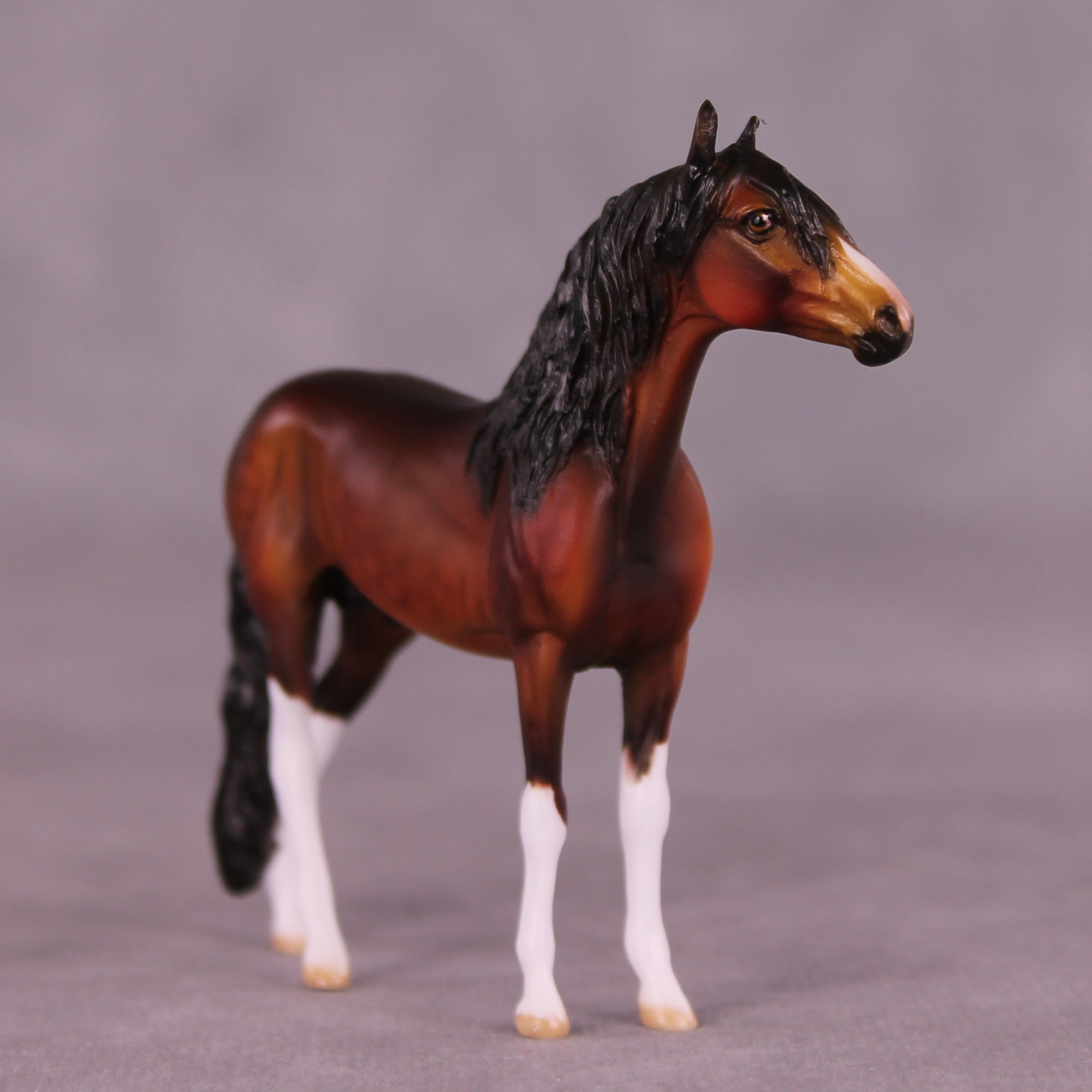 Gable OOAK Andalusian Chip by Dawn Quick LHS25