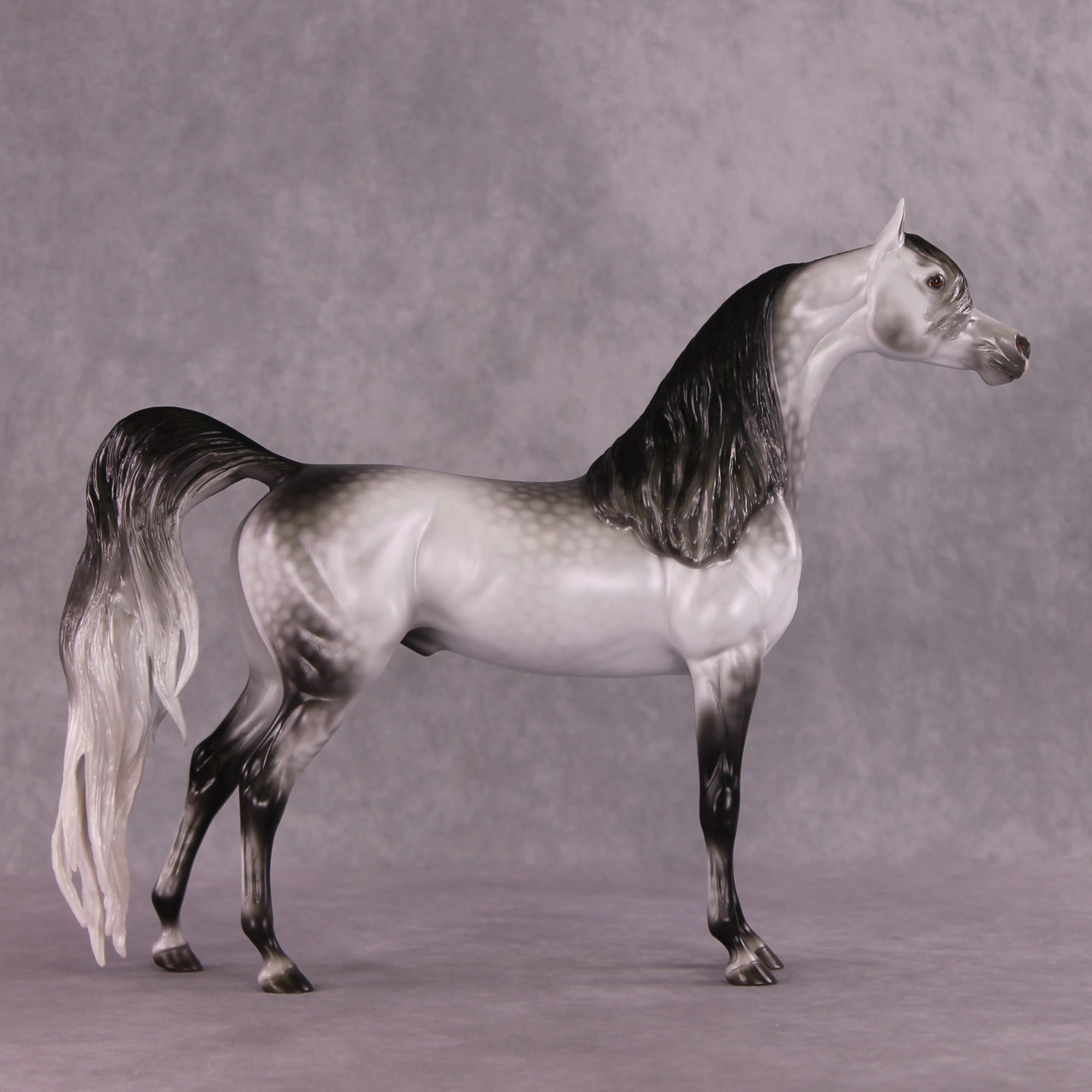 "Amadeus" LE-5 EFCM Arabian Stallion By Ellen Robbins SHCF25OS Run