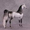 &quot;Amadeus&quot; LE-5 EFCM Arabian Stallion By Ellen Robbins SHCF25OS Run
