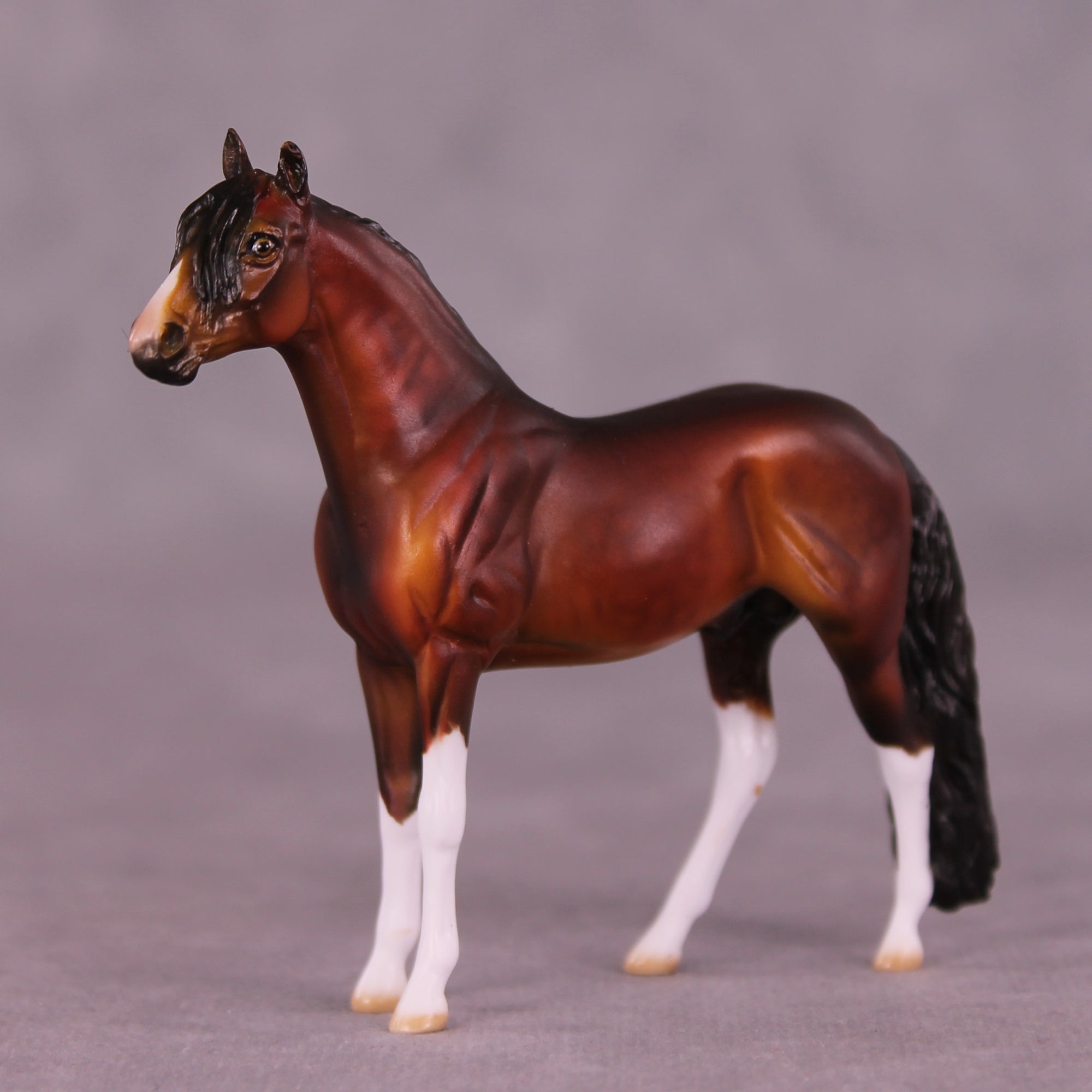 Gable OOAK Andalusian Chip by Dawn Quick LHS25