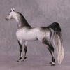 &quot;Amadeus&quot; LE-5 EFCM Arabian Stallion By Ellen Robbins SHCF25OS Run