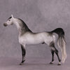 &quot;Amadeus&quot; LE-5 EFCM Arabian Stallion By Ellen Robbins SHCF25OS Run