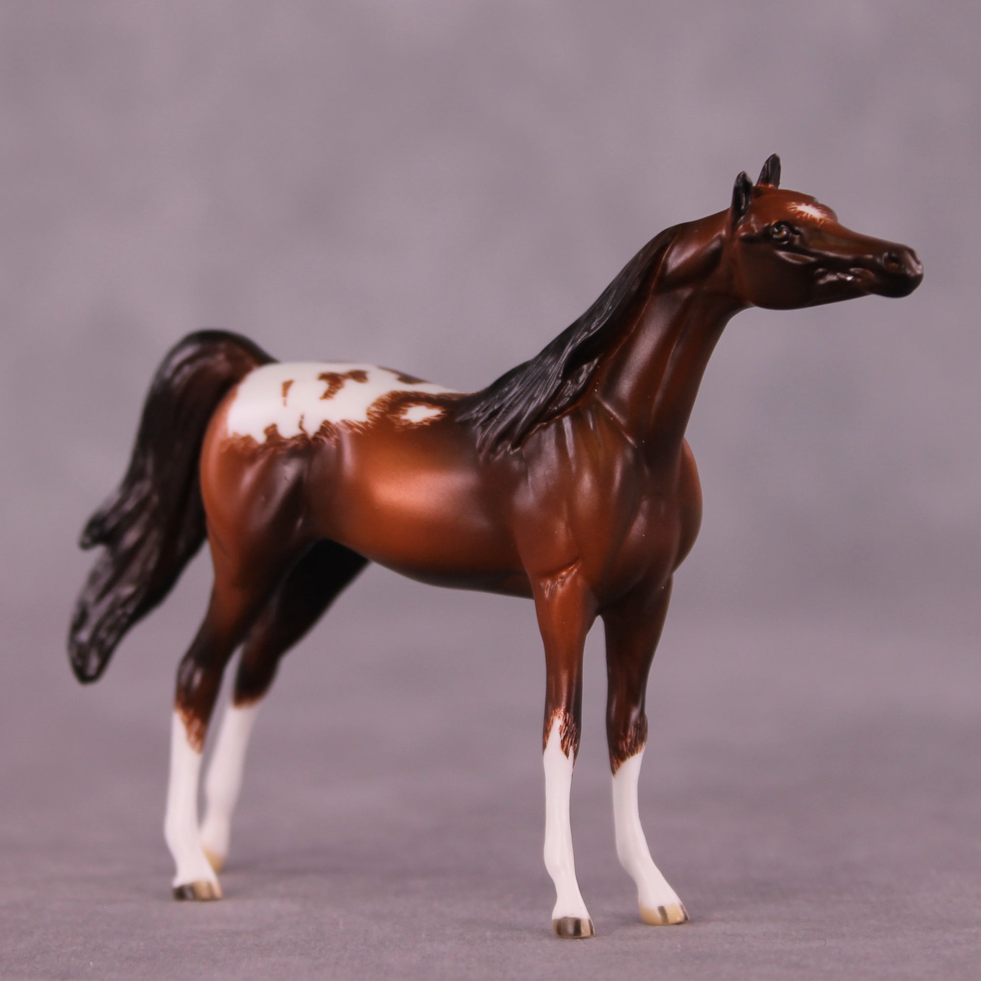 Cheery OOAK Chip Arabian by Jamie Adamson LHS25