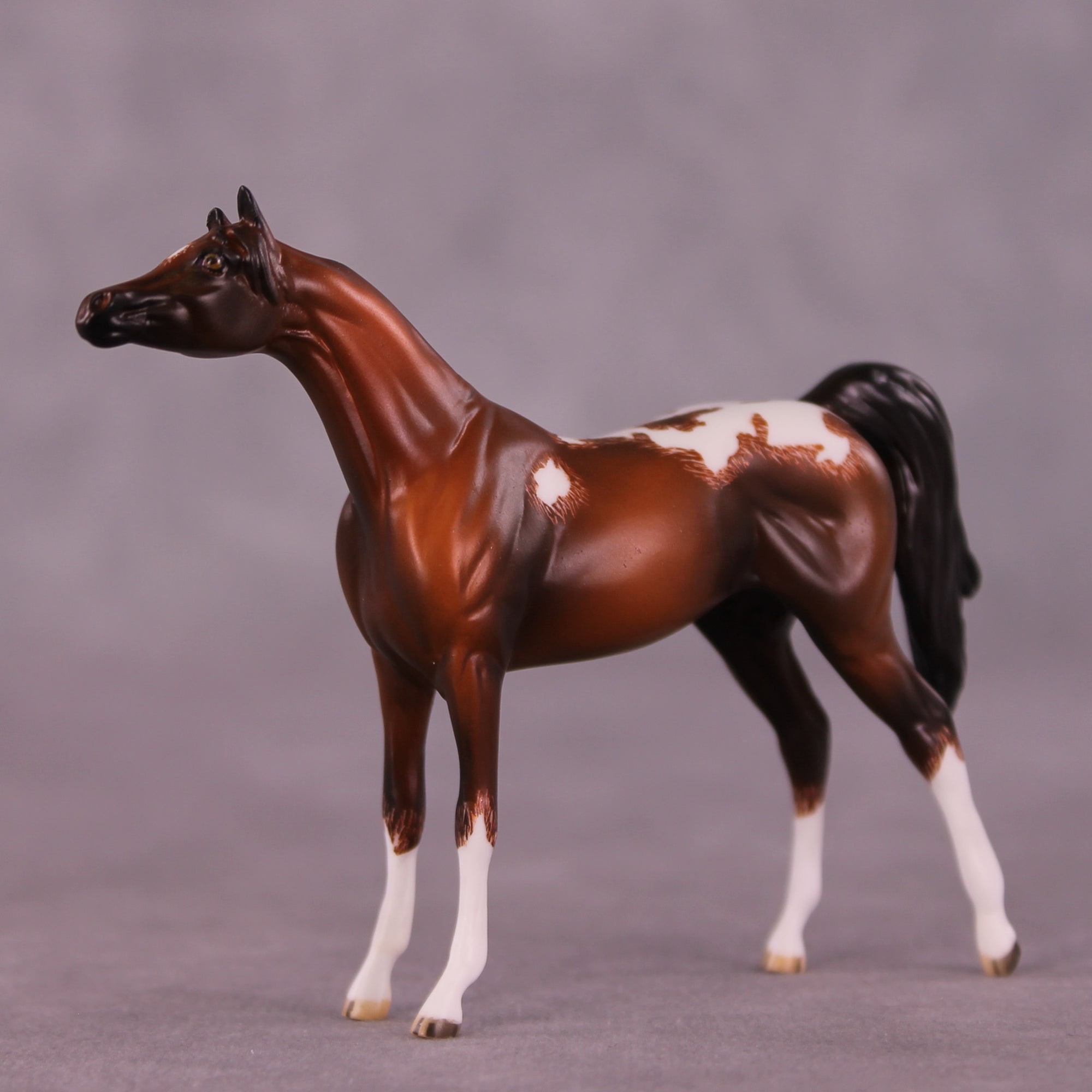 Cheery OOAK Chip Arabian by Jamie Adamson LHS25