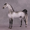 &quot;Amadeus&quot; LE-5 EFCM Arabian Stallion By Ellen Robbins SHCF25OS Run