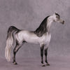 &quot;Amadeus&quot; LE-5 EFCM Arabian Stallion By Ellen Robbins SHCF25OS Run