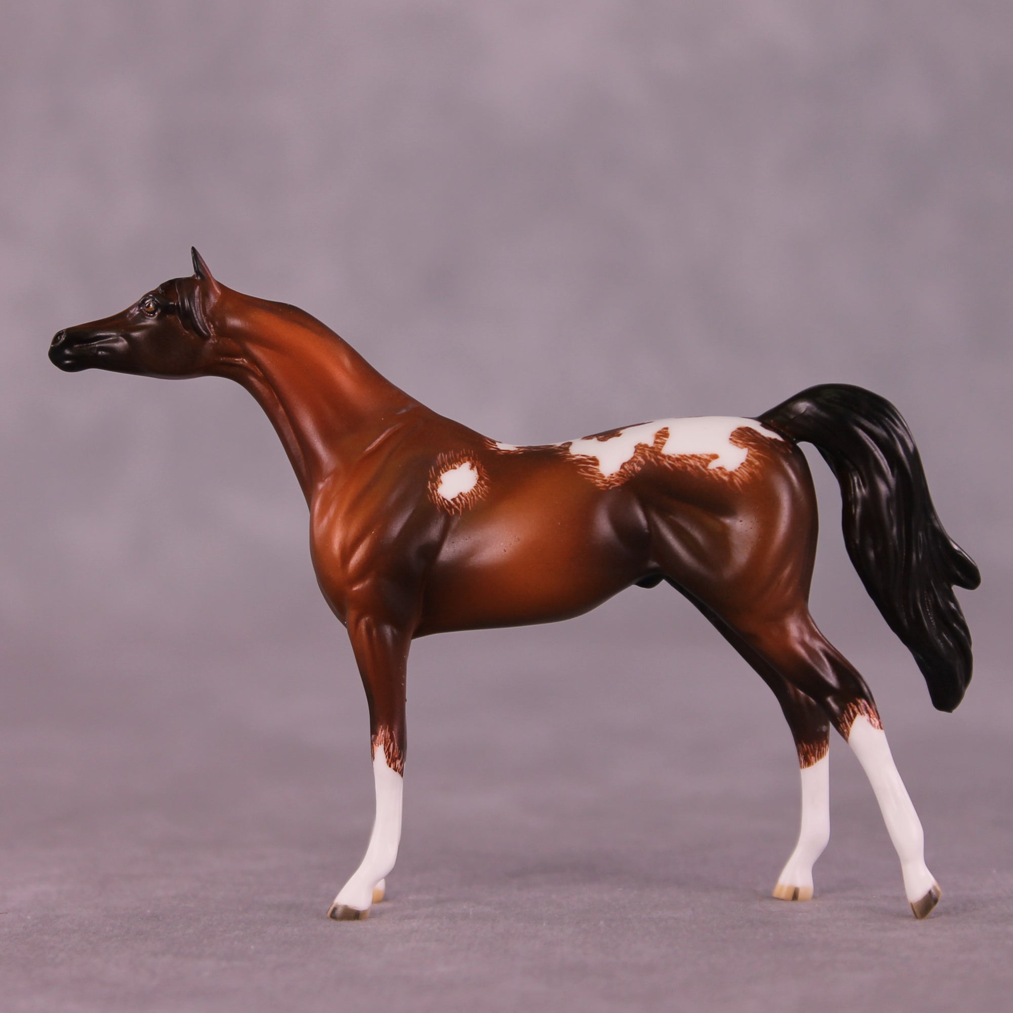 Cheery OOAK Chip Arabian by Jamie Adamson LHS25