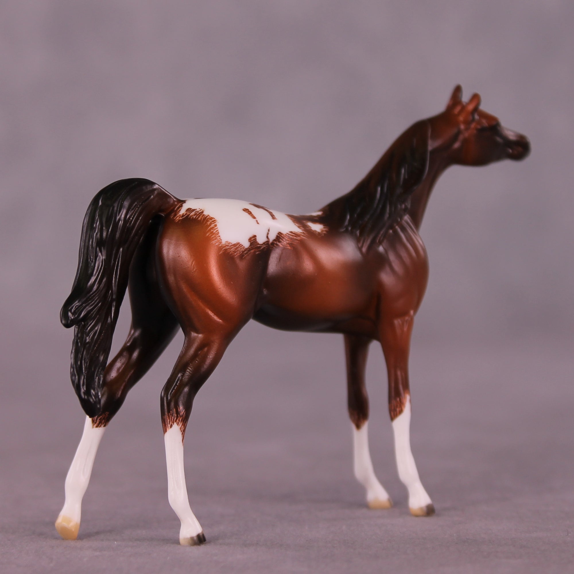 Cheery OOAK Chip Arabian by Jamie Adamson LHS25