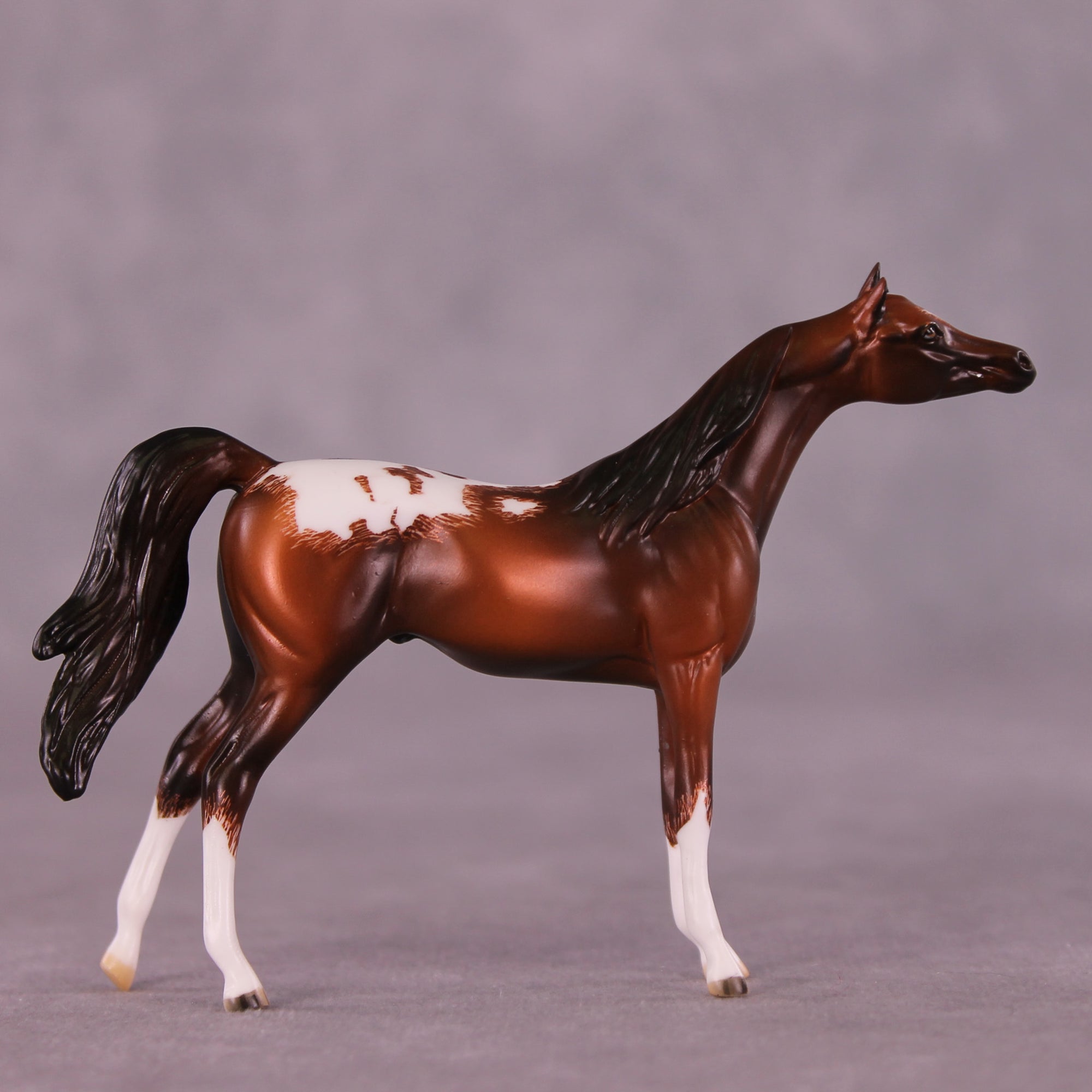 Cheery OOAK Chip Arabian by Jamie Adamson LHS25