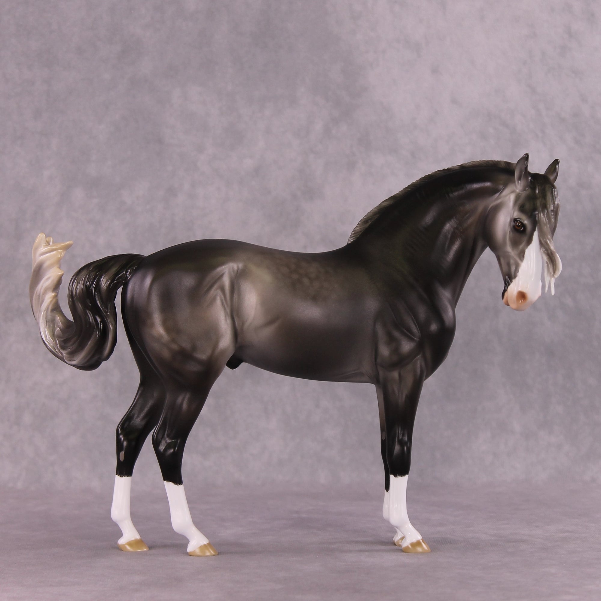 "Figaro" LE-5 EFCM Andalusian by Ashley Palmer SHCF25 Run
