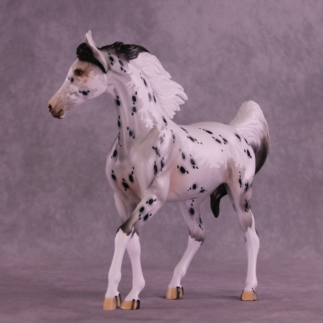 Adrianne OOAK Arabian Mare by Dawn Quick DDOOAKs26
