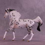 Adrianne OOAK Arabian Mare by Dawn Quick DDOOAKs26