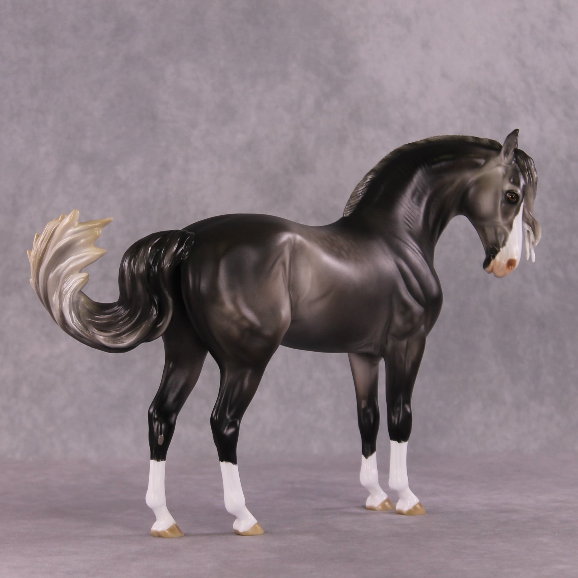 "Figaro" LE-5 EFCM Andalusian by Ashley Palmer SHCF25 Run