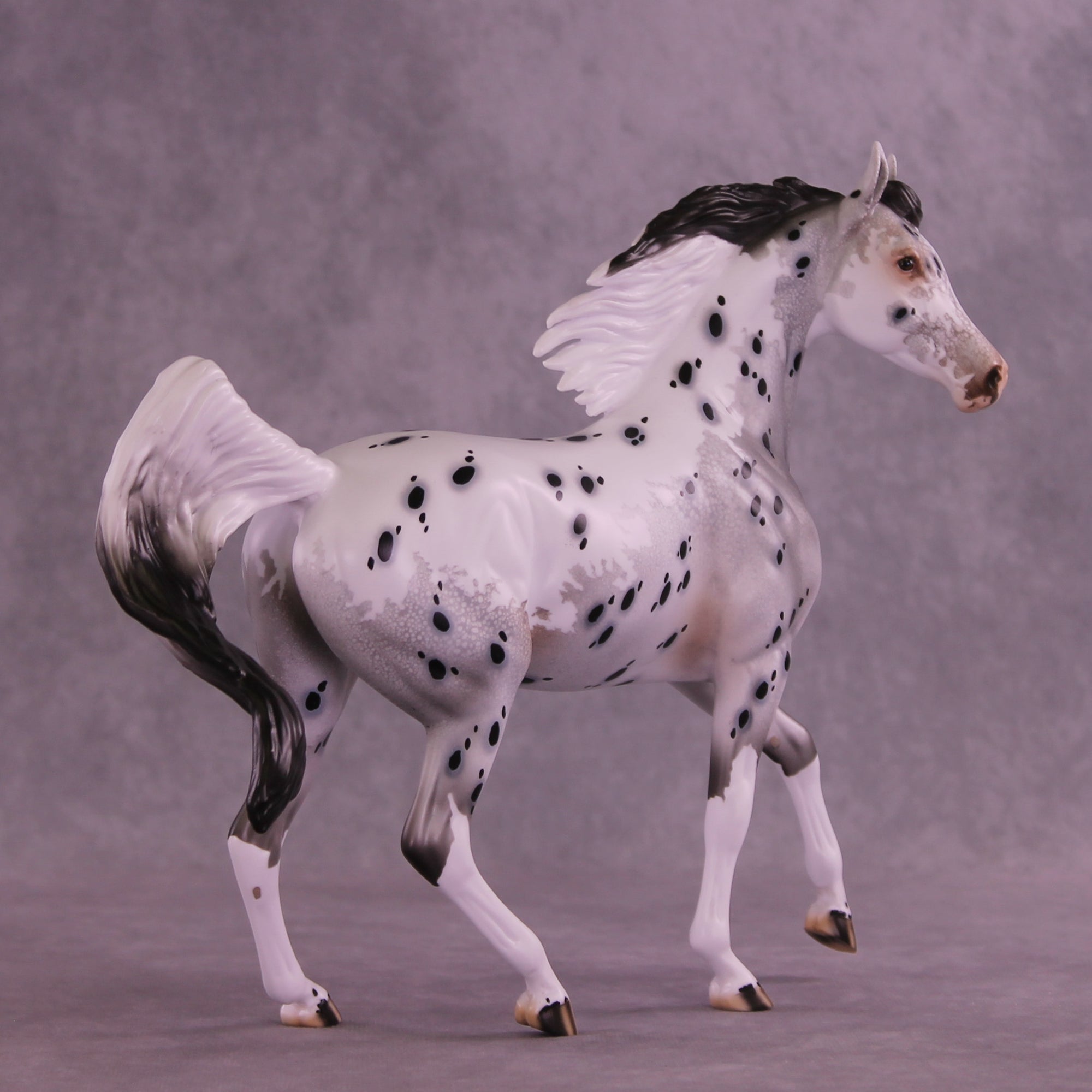 Adrianne OOAK Arabian Mare by Dawn Quick DDOOAKs26