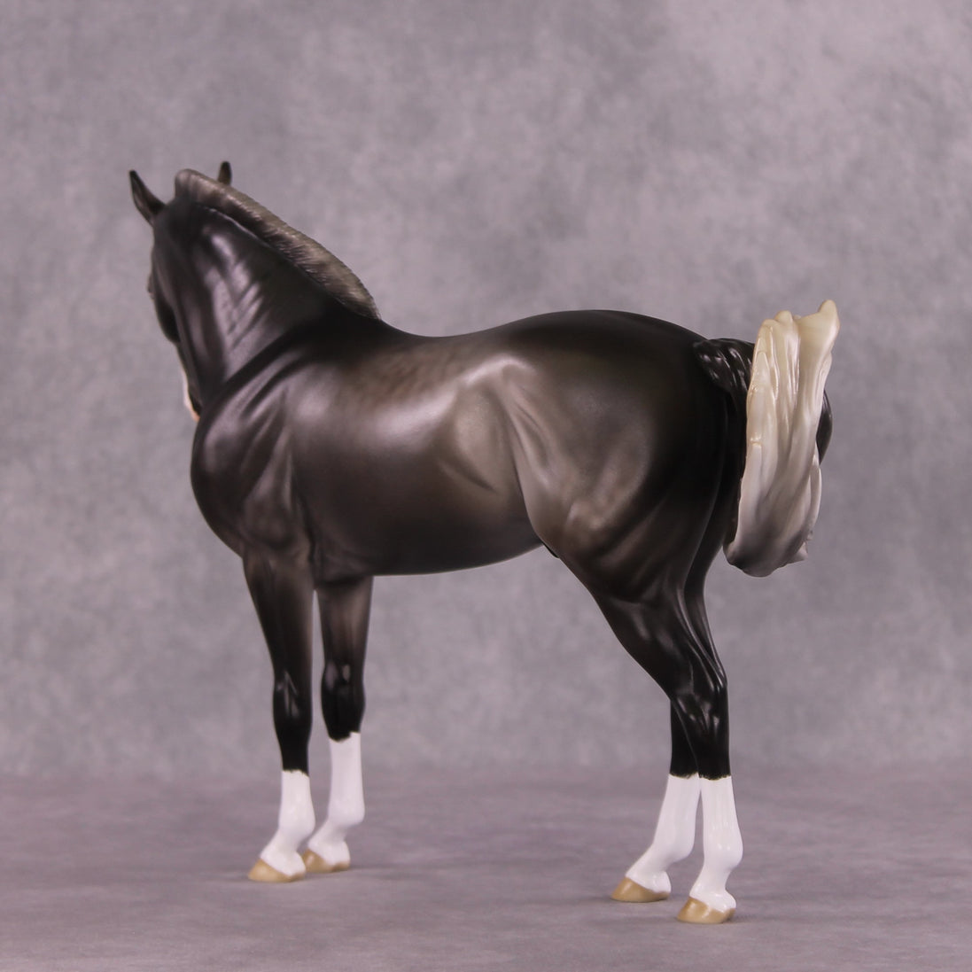 "Figaro" LE-5 EFCM Andalusian by Ashley Palmer SHCF25 Run