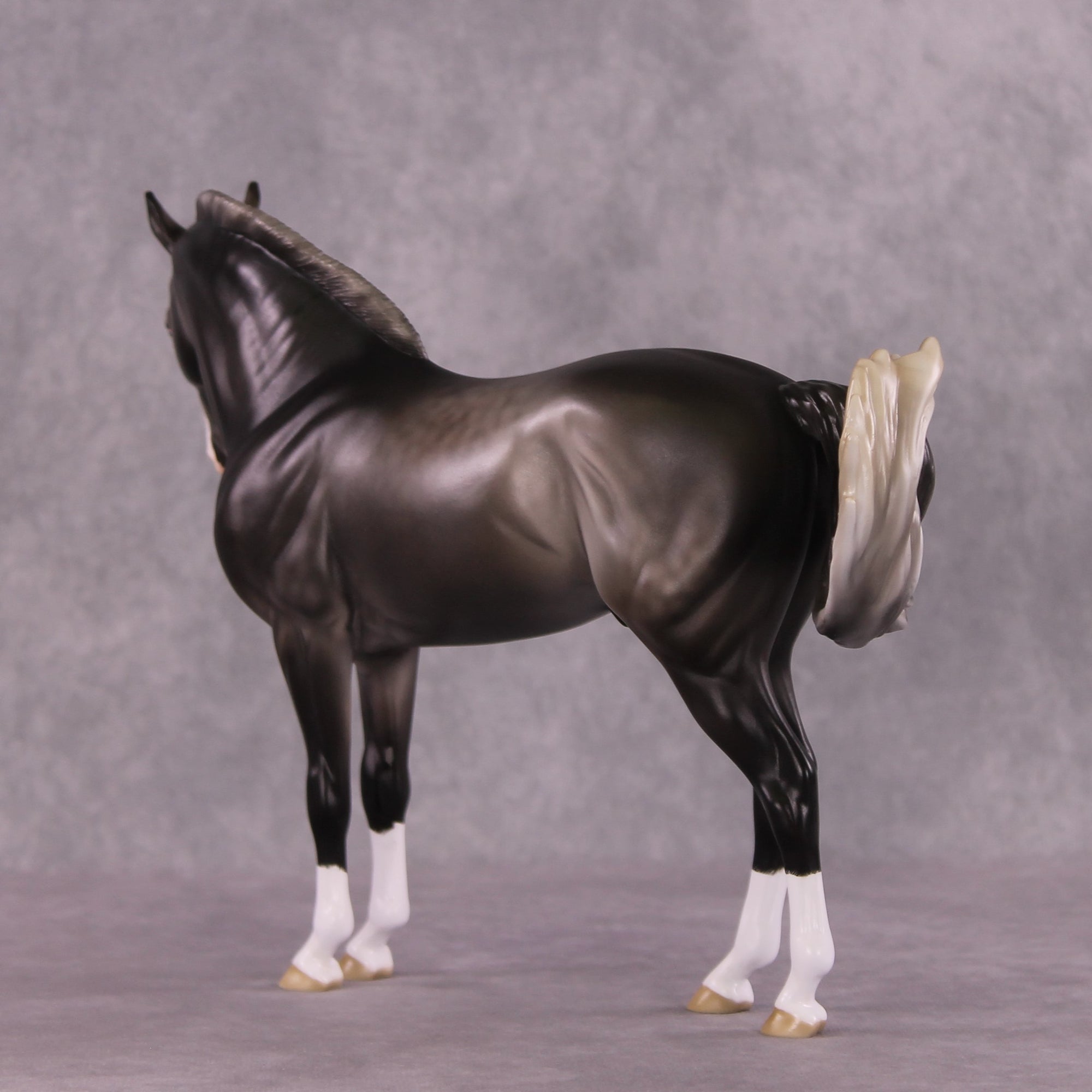 "Figaro" LE-5 EFCM Andalusian by Ashley Palmer SHCF25 Run
