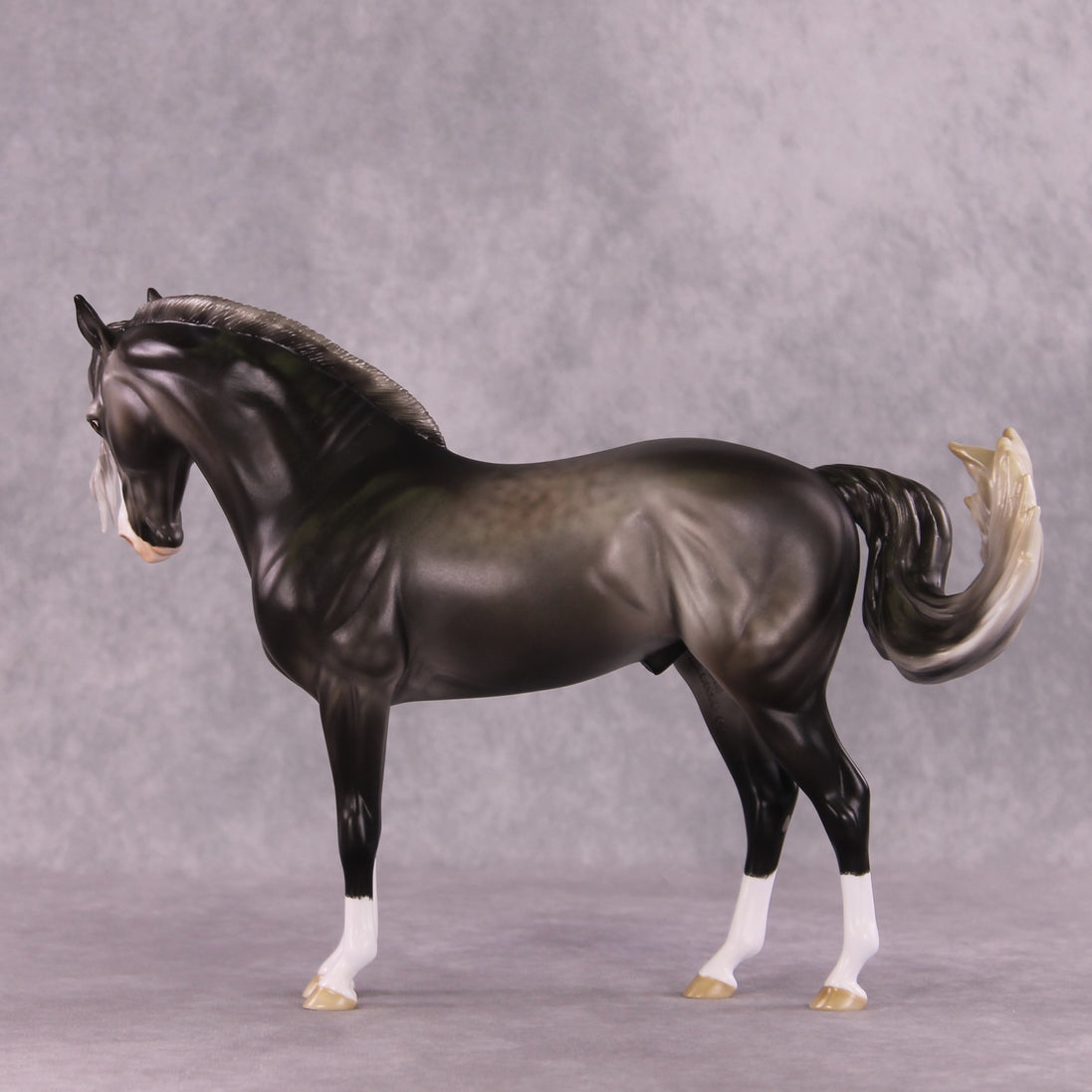 "Figaro" LE-5 EFCM Andalusian by Ashley Palmer SHCF25 Run
