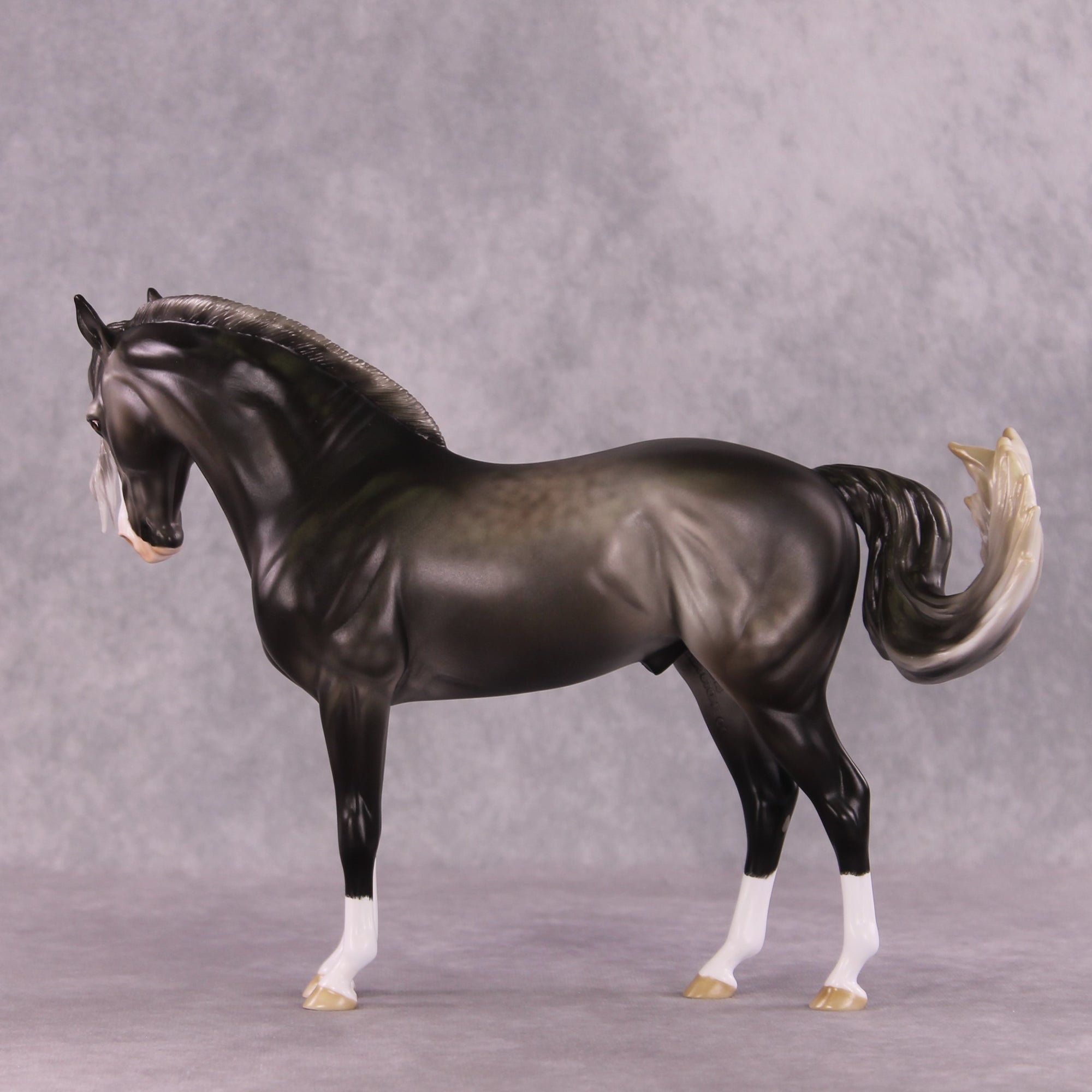 "Figaro" LE-5 EFCM Andalusian by Ashley Palmer SHCF25 Run