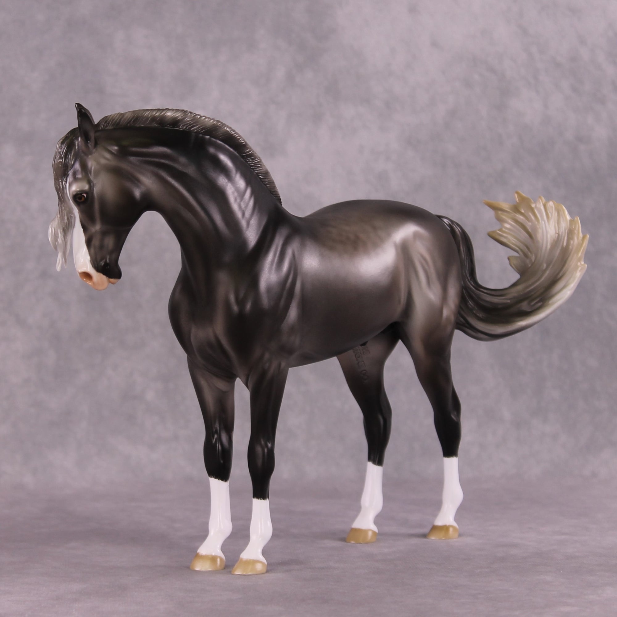 "Figaro" LE-5 EFCM Andalusian by Ashley Palmer SHCF25 Run