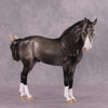 &quot;Figaro&quot; LE-5 EFCM Andalusian by Ashley Palmer SHCF25 Run