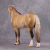 Brindisi OOAK Dun Palomino Ideal Stock Horse By Caroline Boydston - Best Offer 10/22/24