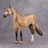 Brindisi OOAK Dun Palomino Ideal Stock Horse By Caroline Boydston - Best Offer 10/22/24