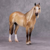 Brindisi OOAK Dun Palomino Ideal Stock Horse By Caroline Boydston - Best Offer 10/22/24