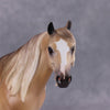 Brindisi OOAK Dun Palomino Ideal Stock Horse By Caroline Boydston - Best Offer 10/22/24