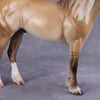 Brindisi OOAK Dun Palomino Ideal Stock Horse By Caroline Boydston - Best Offer 10/22/24