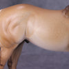 Brindisi OOAK Dun Palomino Ideal Stock Horse By Caroline Boydston - Best Offer 10/22/24