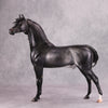 Cortani OOAK Dappled Dark Grey Arabian Stallion By Caroline Boydston - Best Offer 10/22/24