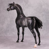 Cortani OOAK Dappled Dark Grey Arabian Stallion By Caroline Boydston - Best Offer 10/22/24