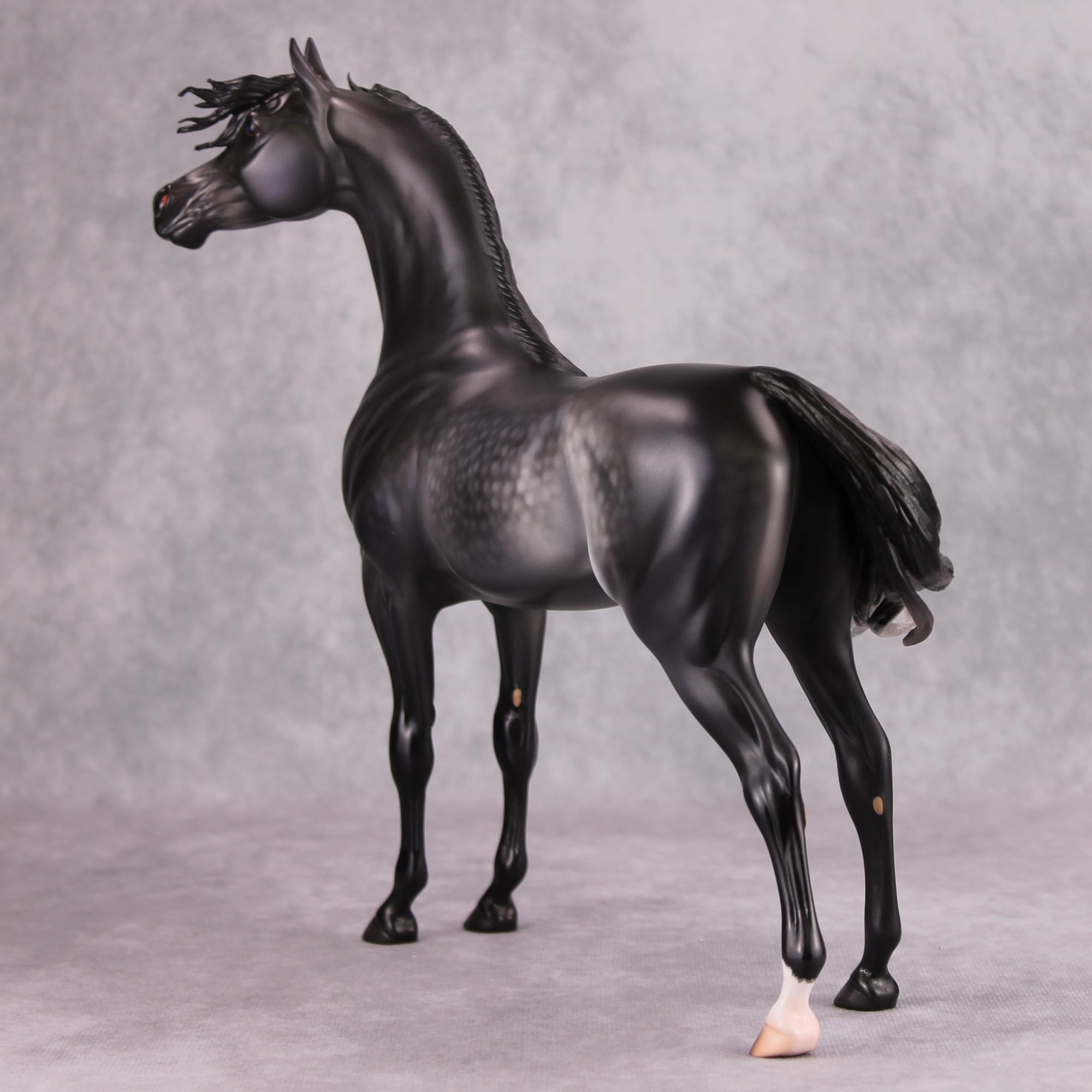 Cortani OOAK Dappled Dark Grey Arabian Stallion By Caroline Boydston - Best Offer 10/22/24