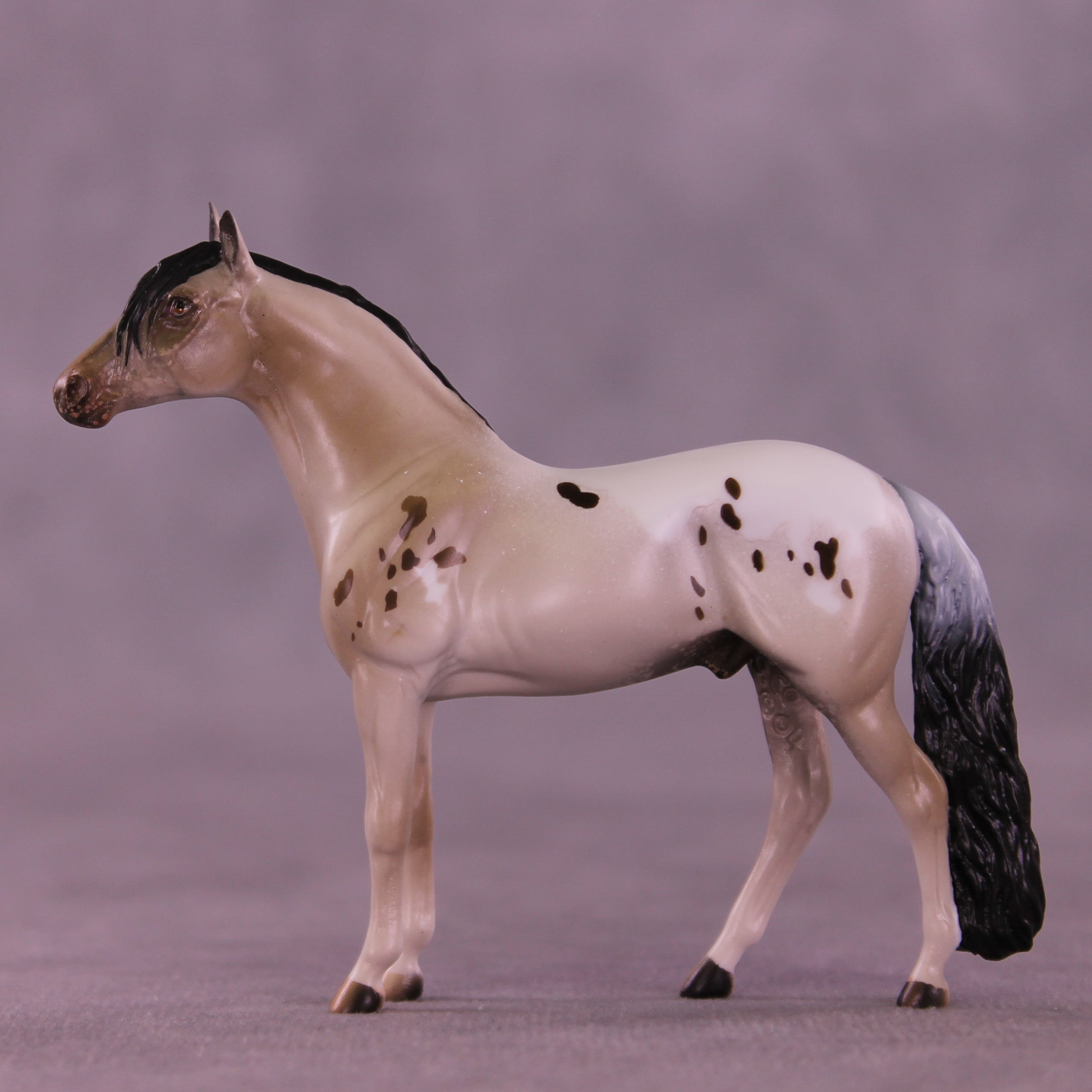 Canon LE-5 Chip Andalusian by Anna Rieck February $99 Chips