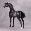 Cortani OOAK Dappled Dark Grey Arabian Stallion By Caroline Boydston - Best Offer 10/22/24