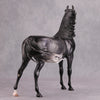 Cortani OOAK Dappled Dark Grey Arabian Stallion By Caroline Boydston - Best Offer 10/22/24